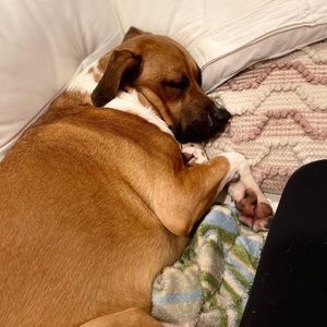 Meet your Posher, Lulu